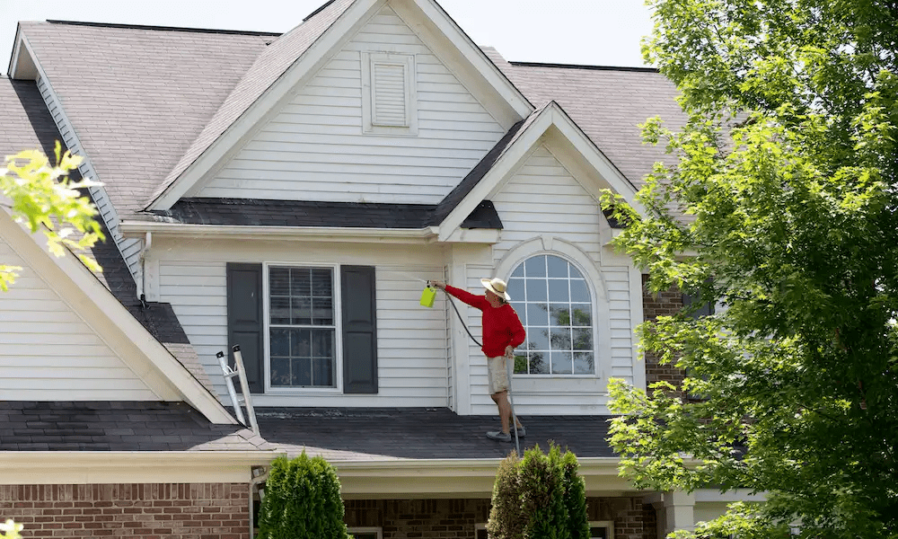 Kitchen Design Woodlands